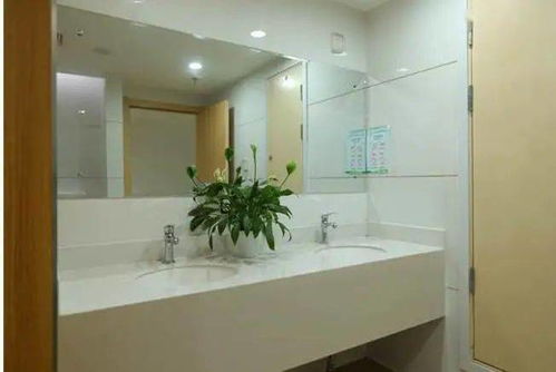 安装工程届的 鲁班奖 是什么样 最新 安装之星 项目赏析